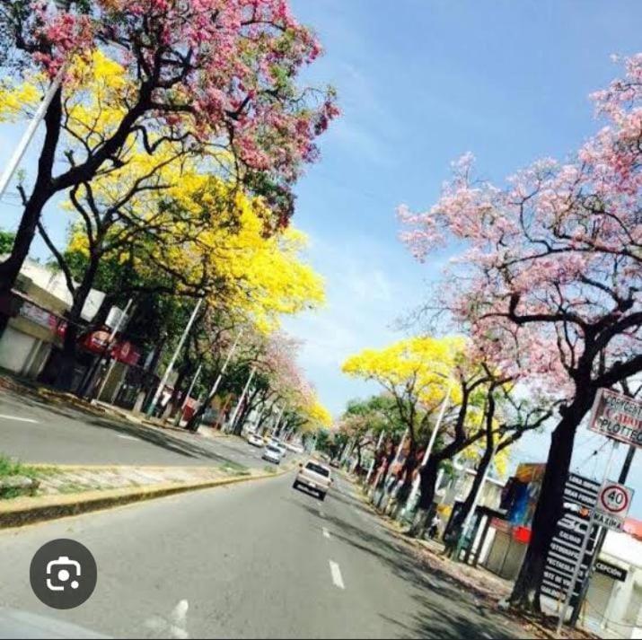 Posada Maria Elvia Villahermosa Ngoại thất bức ảnh
